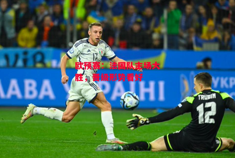 德信app-欧预赛:法国队主场大胜,晋级形势看好-第2张图片-德信体育 德信app-欧预赛:法国队主场大胜,晋级形势看好-第2张图片-德信体育