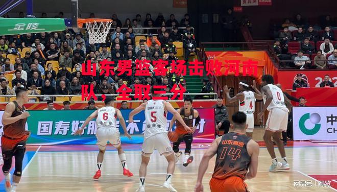 德信体育-山东男篮客场击败河南队，全取三分-第1张图片-德信体育