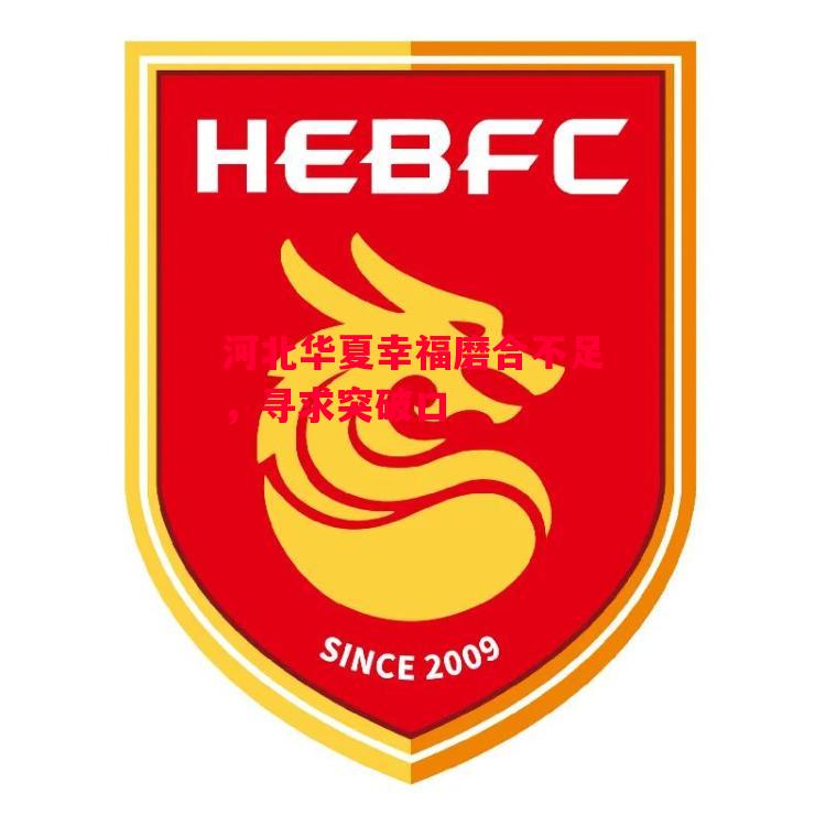 德信体育app下载-河北华夏幸福磨合不足,寻求突破口-第1张图片-德信体育 德信体育app下载-河北华夏幸福磨合不足,寻求突破口-第1张图片-德信体育