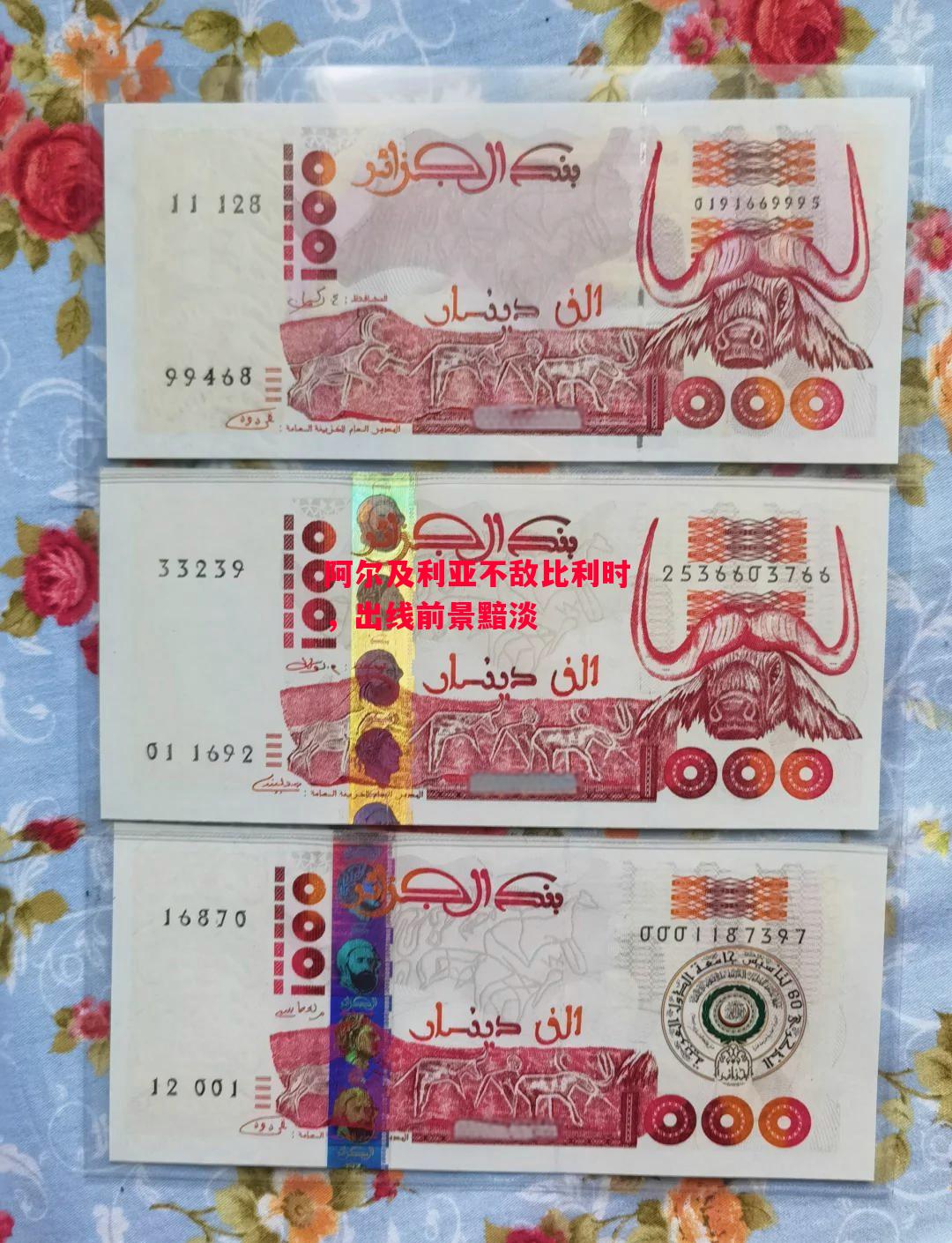 德信体育-阿尔及利亚不敌比利时,出线前景黯淡-第1张图片-德信体育 德信体育-阿尔及利亚不敌比利时,出线前景黯淡-第1张图片-德信体育