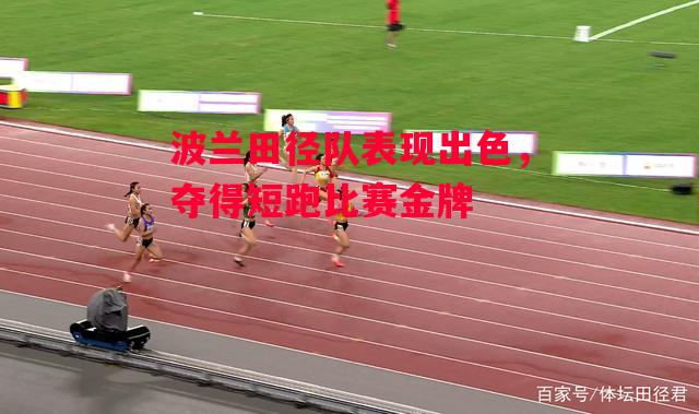 德信app下载-波兰田径队表现出色,夺得短跑比赛金牌-第1张图片-德信体育 德信app下载-波兰田径队表现出色,夺得短跑比赛金牌-第1张图片-德信体育