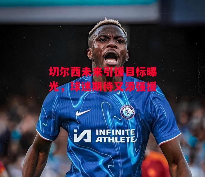 德信体育app下载-切尔西未来引援目标曝光,球迷期待又添强援-第1张图片-德信体育 德信体育app下载-切尔西未来引援目标曝光,球迷期待又添强援-第1张图片-德信体育