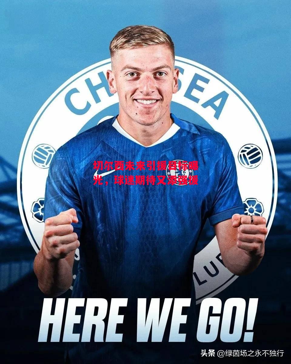 德信体育app下载-切尔西未来引援目标曝光,球迷期待又添强援-第2张图片-德信体育 德信体育app下载-切尔西未来引援目标曝光,球迷期待又添强援-第2张图片-德信体育