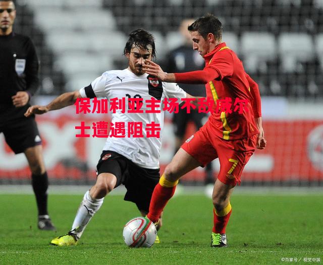 德信体育-保加利亚主场不敌威尔士遭遇阻击-第1张图片-德信体育 德信体育-保加利亚主场不敌威尔士遭遇阻击-第1张图片-德信体育