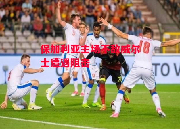 德信体育-保加利亚主场不敌威尔士遭遇阻击-第2张图片-德信体育 德信体育-保加利亚主场不敌威尔士遭遇阻击-第2张图片-德信体育