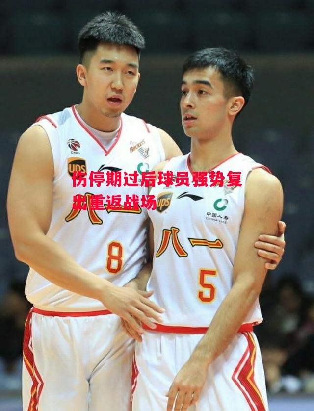德信官网下载-伤停期过后球员强势复出重返战场-第2张图片-德信体育 德信官网下载-伤停期过后球员强势复出重返战场-第2张图片-德信体育