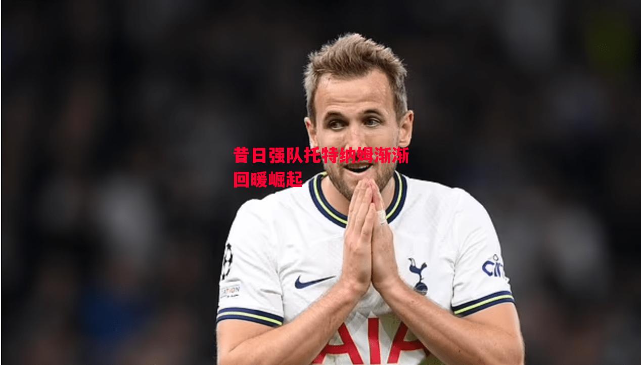德信app-昔日强队托特纳姆渐渐回暖崛起-第1张图片-德信体育 德信app-昔日强队托特纳姆渐渐回暖崛起-第1张图片-德信体育