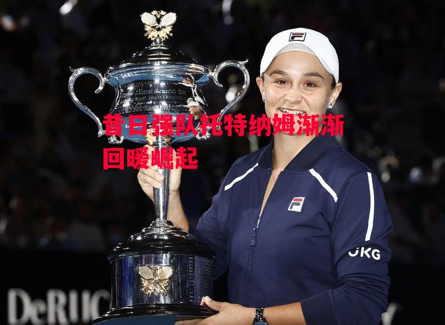 德信app-昔日强队托特纳姆渐渐回暖崛起-第2张图片-德信体育 德信app-昔日强队托特纳姆渐渐回暖崛起-第2张图片-德信体育