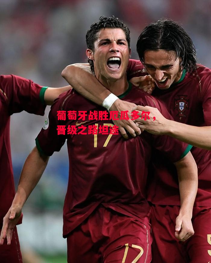德信官网下载-葡萄牙战胜厄瓜多尔,晋级之路坦途-第2张图片-德信体育 德信官网下载-葡萄牙战胜厄瓜多尔,晋级之路坦途-第2张图片-德信体育