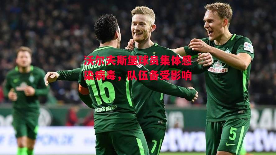 德信体育-沃尔夫斯堡球员集体感染病毒,队伍备受影响-第1张图片-德信体育 德信体育-沃尔夫斯堡球员集体感染病毒,队伍备受影响-第1张图片-德信体育